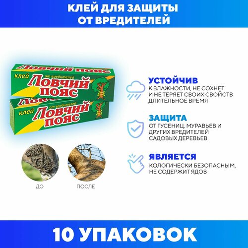 ������ ������ ���� ������ ���� ��� ������ �������� �� ������� ����������, ���� ���������, 135 �� ����