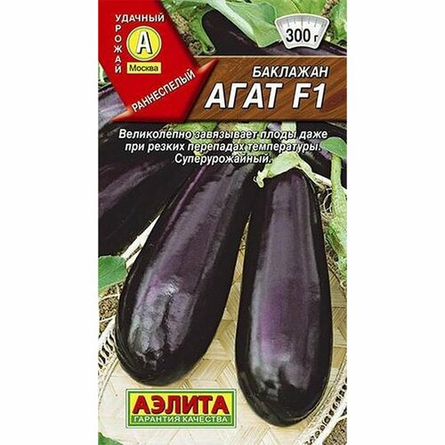 ������ ������ ������ �������� ���� F1 (������) 0,2� ����