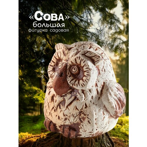 ������ ������ ������� ������� ���� ����