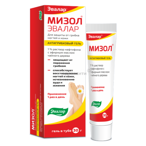 ������ ������ ����� ����, 30 �, 30 �� ����