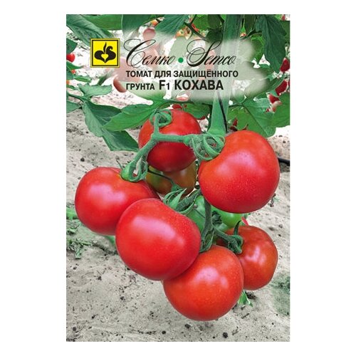 ������ ������ ������ ����� ������ F1 5�� ����� ������ (�����) ����