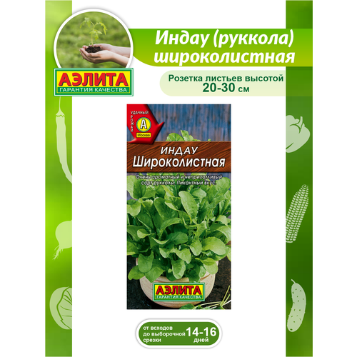 ������ ������ ������ ����� ������� ������������� 0,3 ��. ����