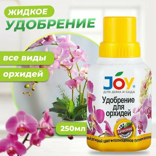     JOY 0,25    -     , -,   