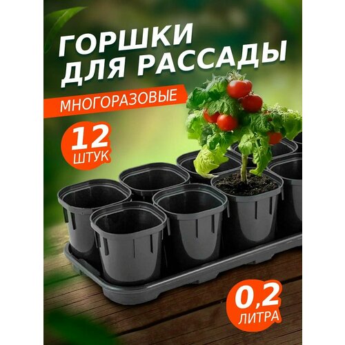 ������ ������ ������ ��� ����������� ������� � �������� 200�� 12��, ����� 60034 ����