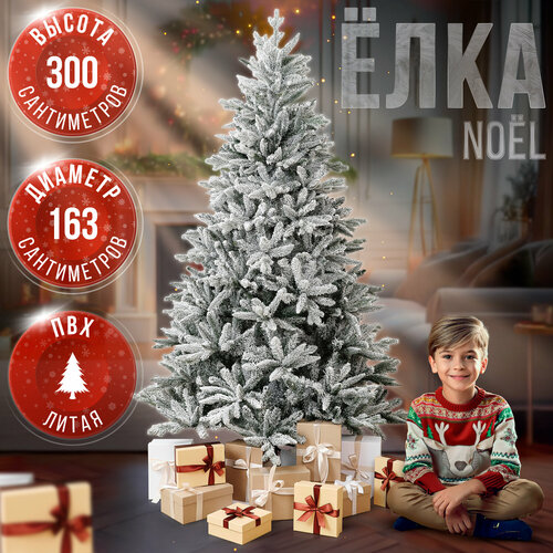 ������ ������ ������������� ���� BINOSHE No�l ����������� 300 �� ����