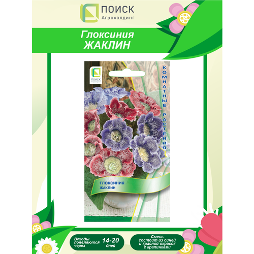 ������ ������ ������ ��������� ������ ��������� 5 ��. ����