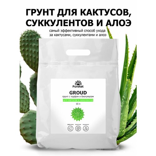 ������ ������ ����� (�����) ��� �������� � ����������� ������. ���������� � ������ � ���������� ��� ��������� (Purshat) 10 � ����