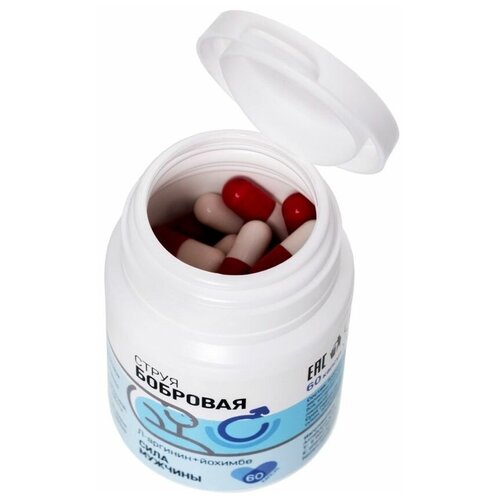 ������ ������ ������� ����� �������� � �-���������, �������, ������� ���, ������� ������ 