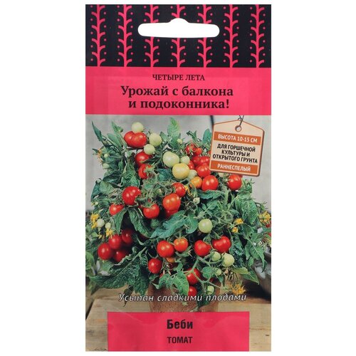 ������ ������ ������ ����� ������ ���� ����� ���� 5 ��. ����