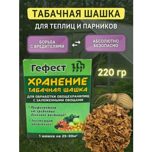 ������ ������ �������� ������� ����� 