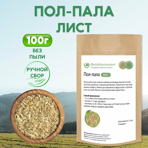 ������ ������ ���-���� (���� ����������) (������), 100�� ����