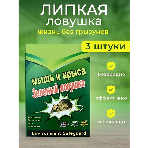 ������ ������ ��������� ������ ��� �����, ������� ��� ���� � �����, 3 ����� ����