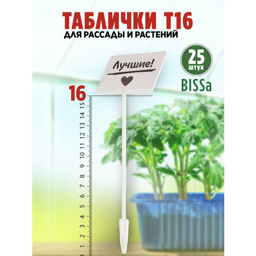 ������ ������ ������� �������� ��� ������� � ��������, Bissa �16, �����, 25 �� ����