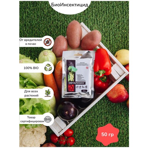 ������ ������ ���������, ������ �������� �� �������� ���� ���������-���������� ����