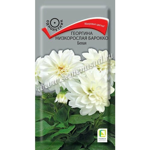 ������ ������ �������� ����������� ������� ����� �����. 0,1��. (�����) ����