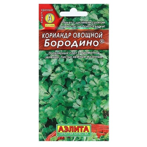 ������ ������ ������ �������� ������� 