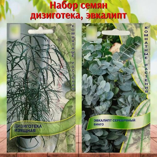 ������ ������ ������ ������ ��� ���� �������� � ���������� ����� 2 ��. ����