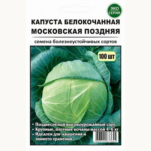 ������ ������ ������� ������������ 