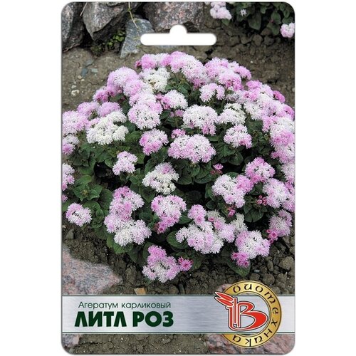 ������ ������ ������ ��������� ����������� 