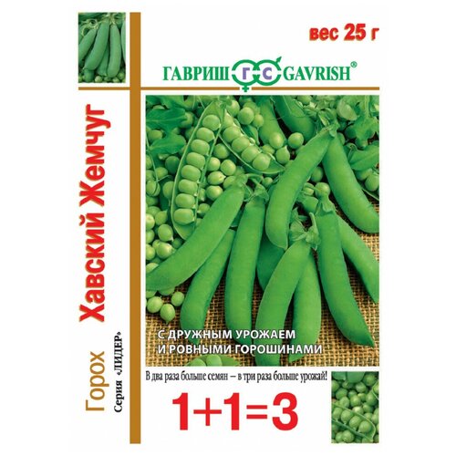 ������ ������ ������ ������ ����� 1+1 