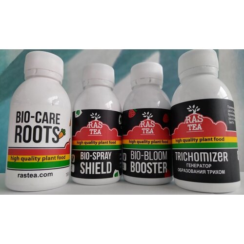 ������ ������ ����������� RasTea. ������ �������� ������������(4*100��). ����