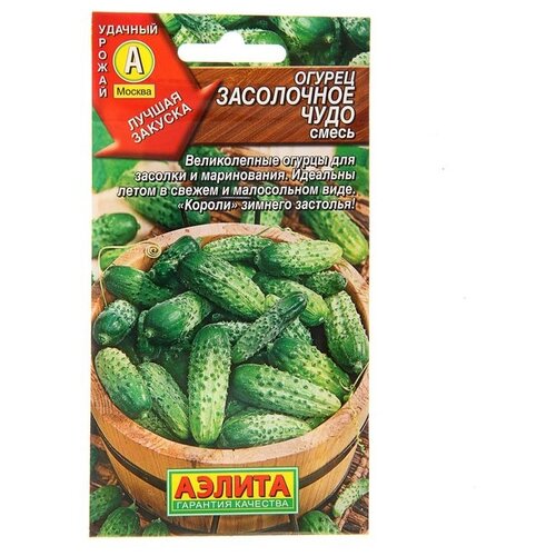 ������ ������ ������ ��������� ������ ������ ���������� ����, ����� 0.5 � ����