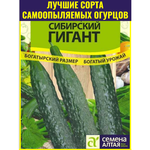 ������ ������ ������ ������������� ������� ��������� ������ F1 - 10 ��. ������������� ������ ��� ��������� ������ � ������ ����