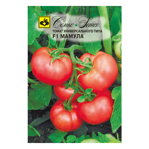 ������ ������ ������ ����� ������ F1 0,1� ��� ������ (�����) ����