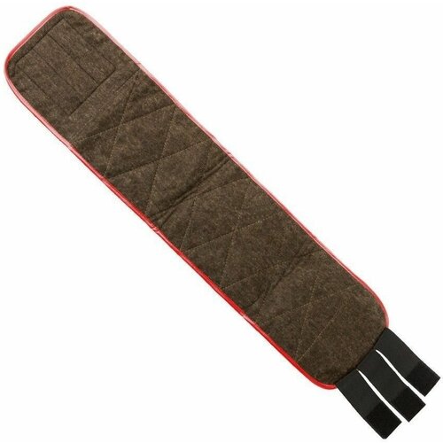 ������ ������ ���� �������� �� �������� ������ 