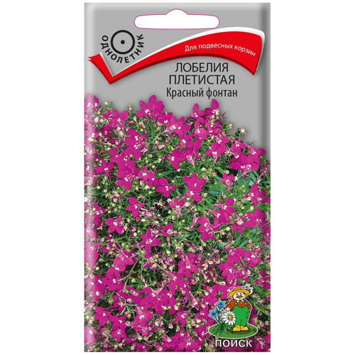 ������ ������ ������ ����� ������� ��������� ������� ������ 0.1 � ����