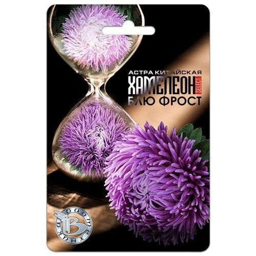 ������ ������ ������ ����� ��������� 