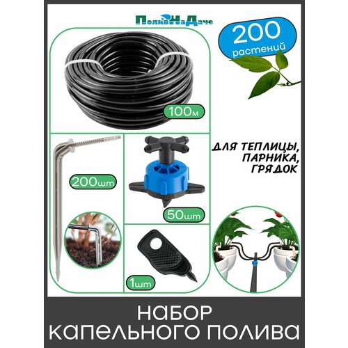 ������ ������ ����� ���������� ������ �� 200 �������� ��� �������, �������, ������ ����