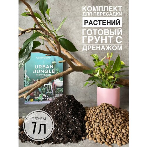 ������ ������ �������� ��� ��������� 7�. ������� ����� ��� �������� � ������ Terracotta Plants ����