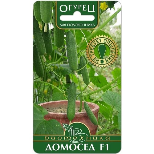 ������ ������ ������ ������������������ ������� ��� ����������� (������ ����������, 6 ��. ����� � ��������) ����