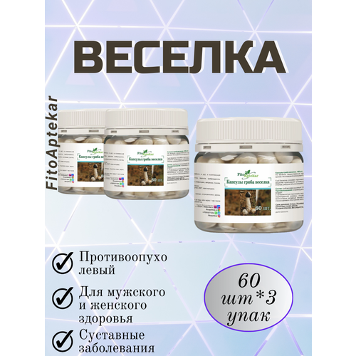 ������ ������ ���� ������� � �������� 60��*3 �������� ����