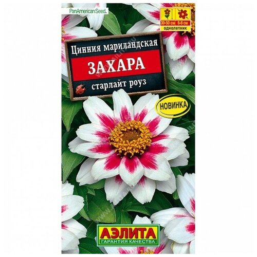 ������ ������ ������. ������ 