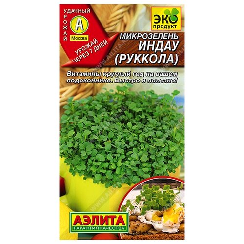 ������ ������ ������ ��������� ������ ����������� ������� 5 � ����