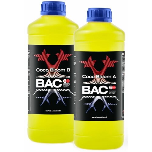     B.A.C. Coco Bloom A+B 1 ,    ,       -     , -,   