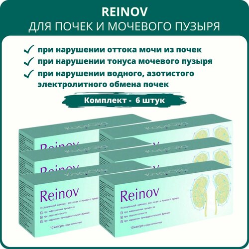 ������ ������ Reinov Kaps�ila (������ ��������) - �������� ��� ����� � �������� ������, 10 ������, ����� 6 ���� ����