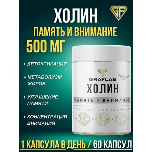 ������ ������ ����� (Choline), ������� �4, 500 ��, 60 ������ ����