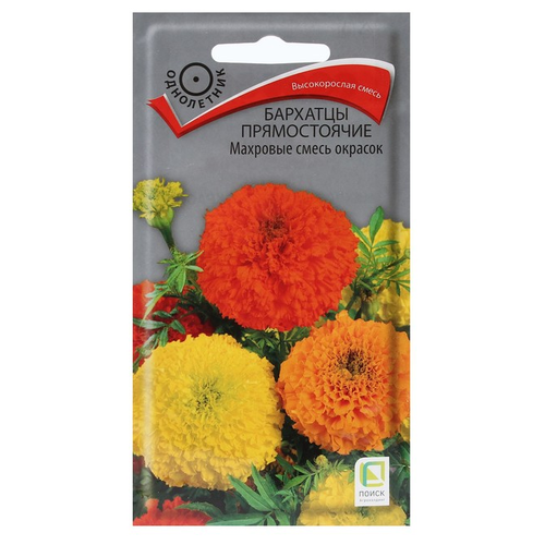 ������ ������ ������ ����� �������� ������������ �������� ����� ������� 0.5 � ����