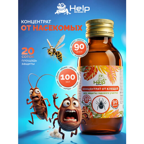 ������ ������ ���������� �� ������, �������� �� 20 �����, �������������, 100 �� HELP ����