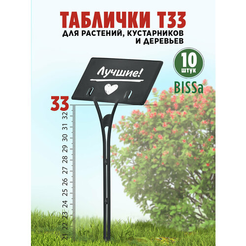 ������ ������ ������� �������� ��� ��������, Bissa �33, ������, 10 �� ����