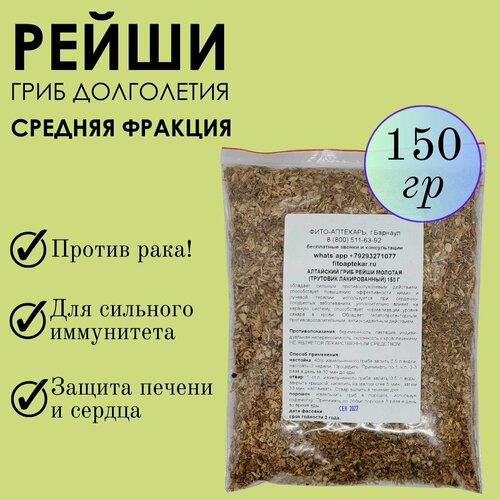 ������ ������ ���� ����� 