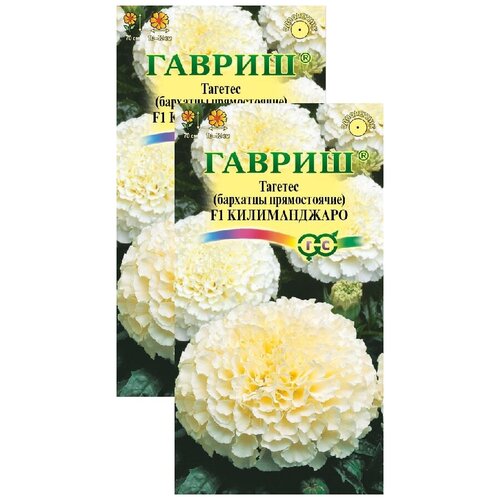 ������ ������ �������� ������������ F1 (0,05 �), 2 ������ ����