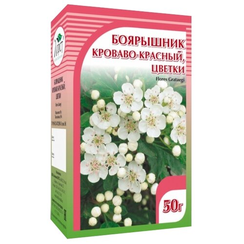 ������ ������ ����� ����� ��������� �������-������� ����