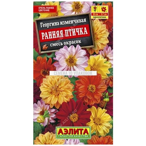 ������ ������ �������� 