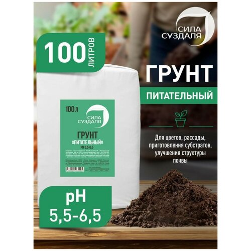 ������ ������ ���� 