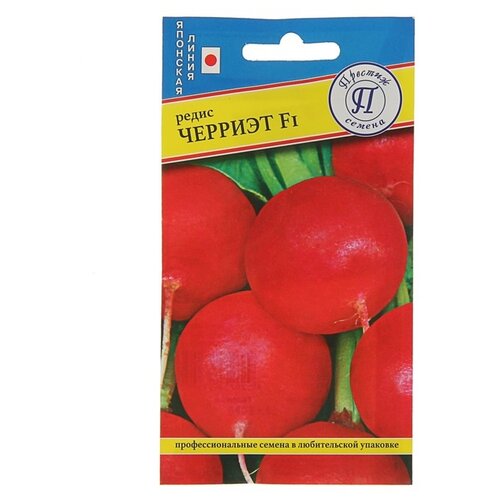 ������ ������ ������ ������� ������ ����� ������� F1 ����