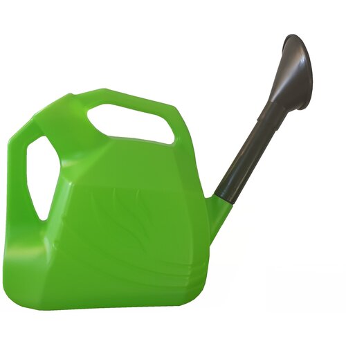 ������ ������ ����� ������� 5� � ������������ 10�� �������� ����